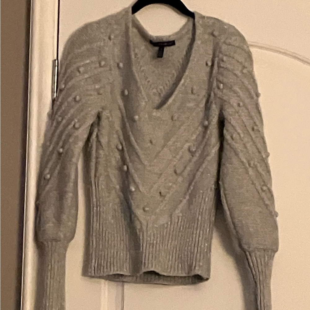 WHBM Embroidered V-neck Sweater with Puff Sleeveves